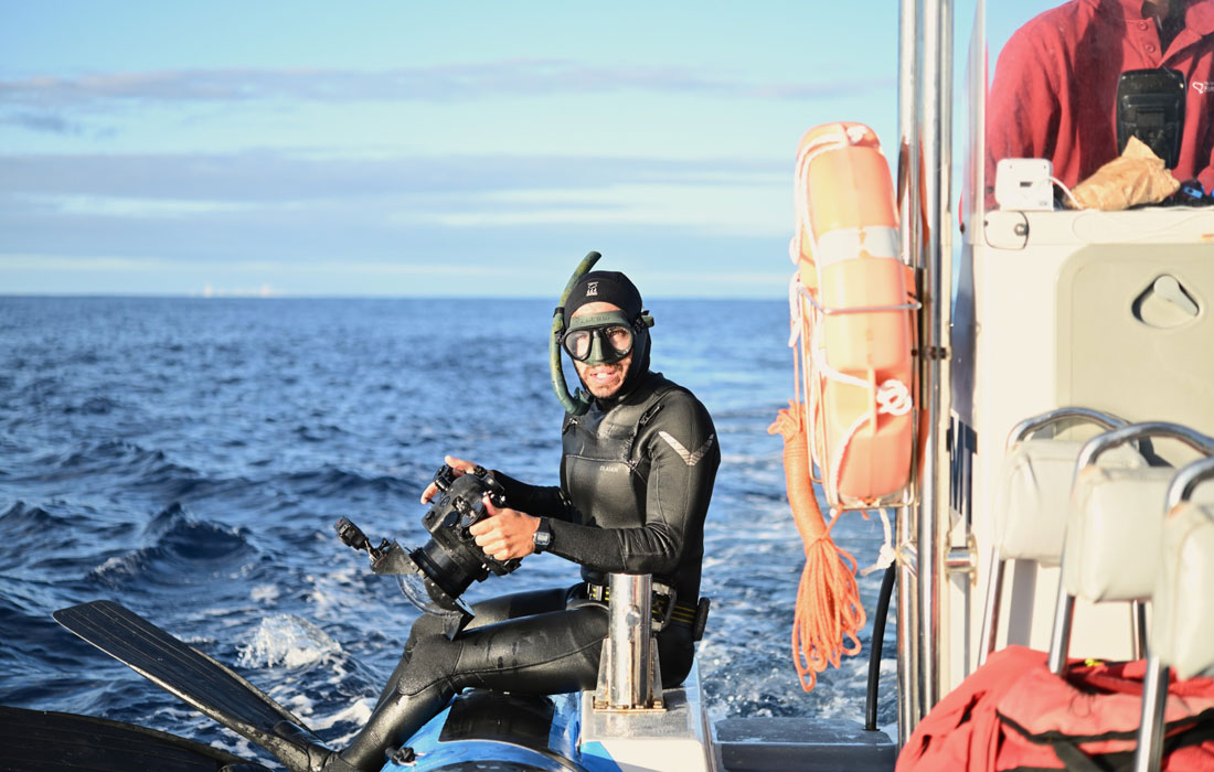 Anxo-Cao-Cervo-fotografo-naturreza-2