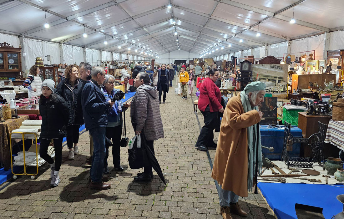 XVIII-Feira-de-Antiguidades-e-Artesania-Pontenova-2025-3