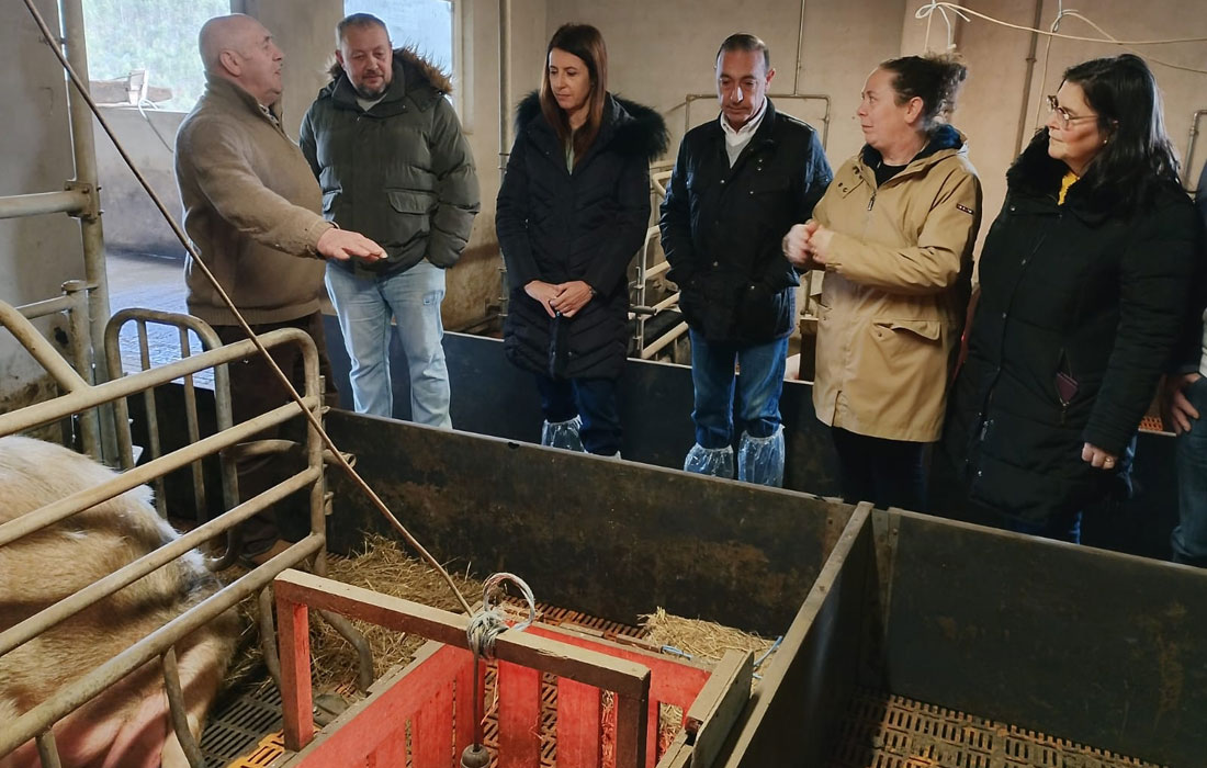 Xove-Casa-Labradela-Explotacion-Porco-celta-2026