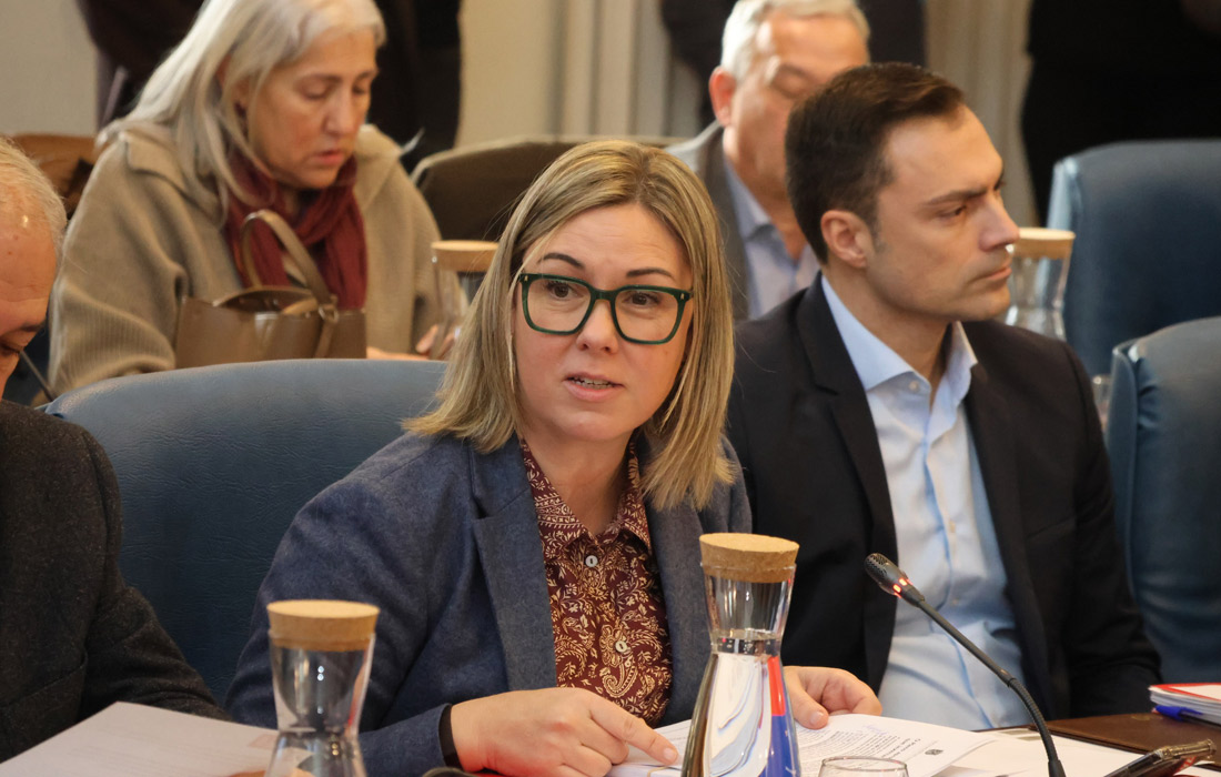 pilar-garcia-porto-pleno-deputacion