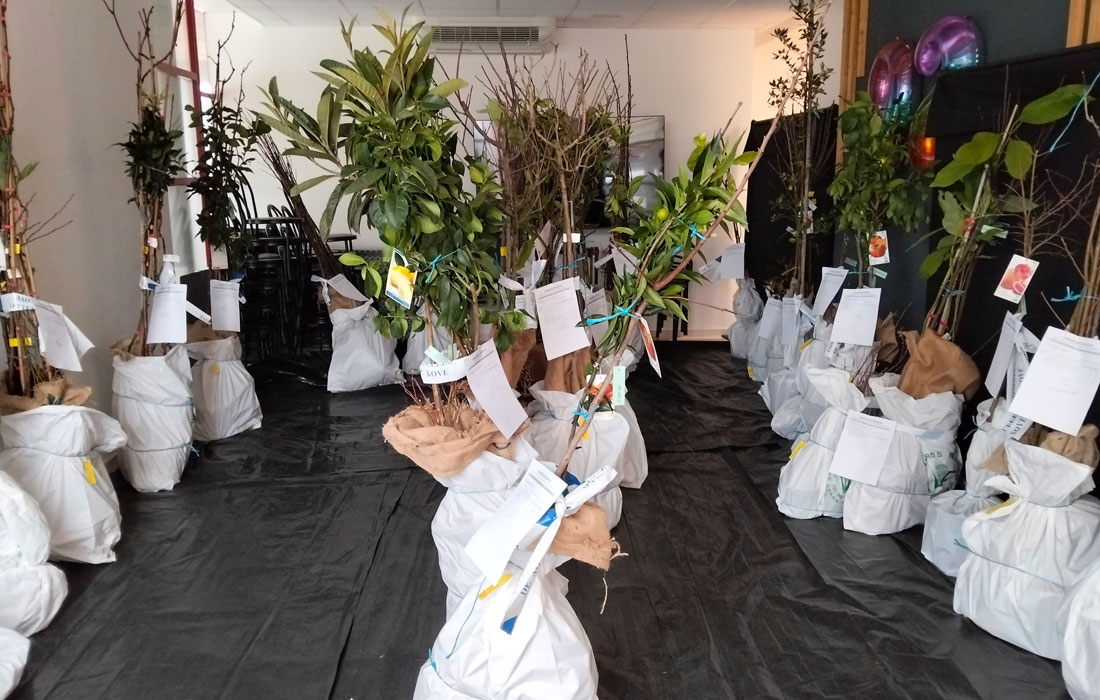 froiteiras-arbores-xove