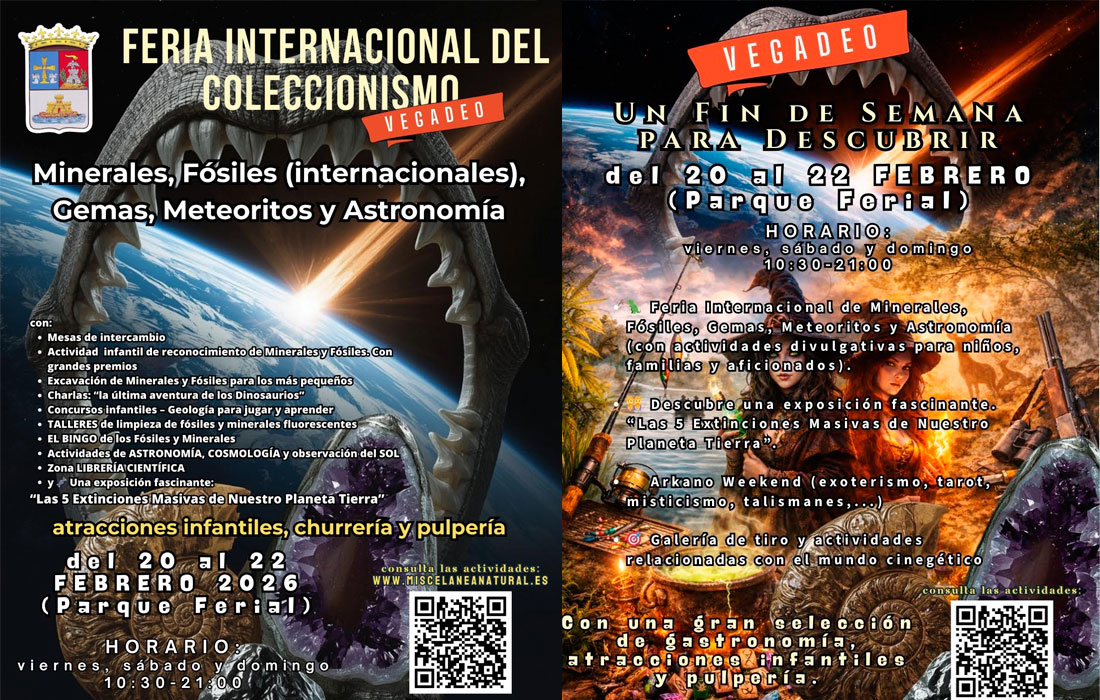 vegadeo-feria-coleccionismo-fosiles-2026