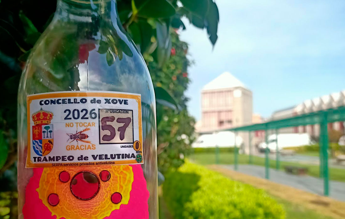 trampeo-velutina-concello-xove-2026