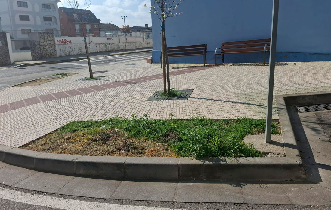 xardineiras-PP-Foz-queixa-2026