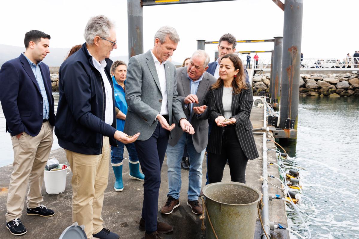 Criadero bivalvos vicedo 2026