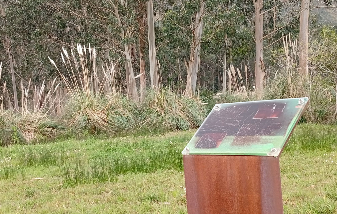 Portochao.-Plumachos-Viveiro