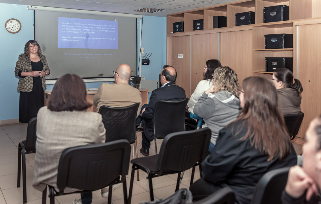 control-de-poboacion-felina-xove