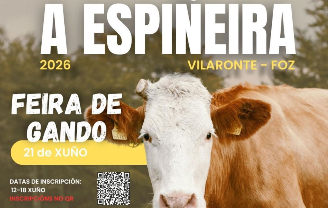 Feira-de-Gando-Foz-2026