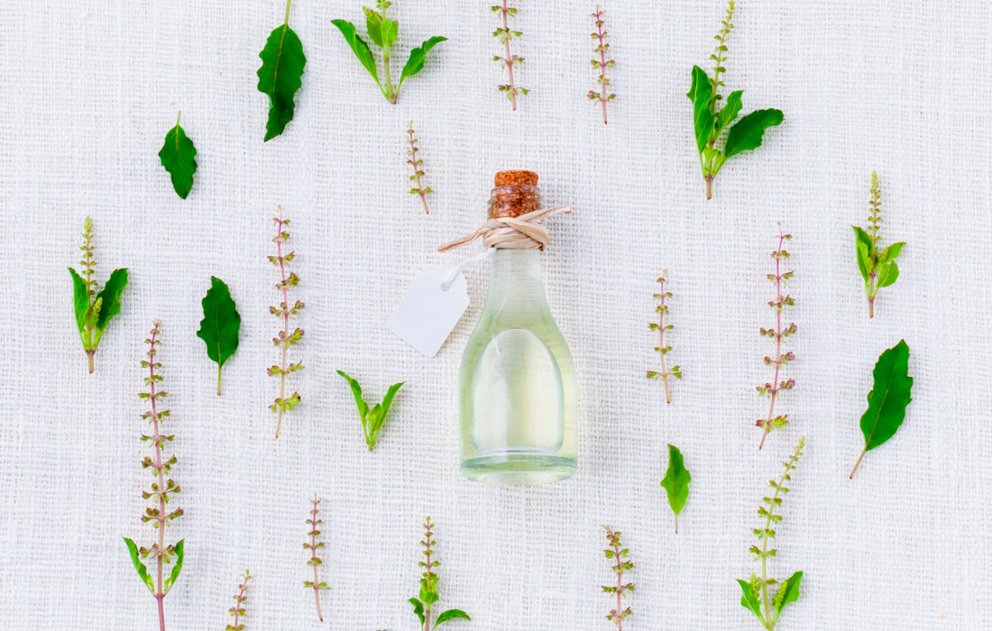 plantas-aromaticas-medicinales