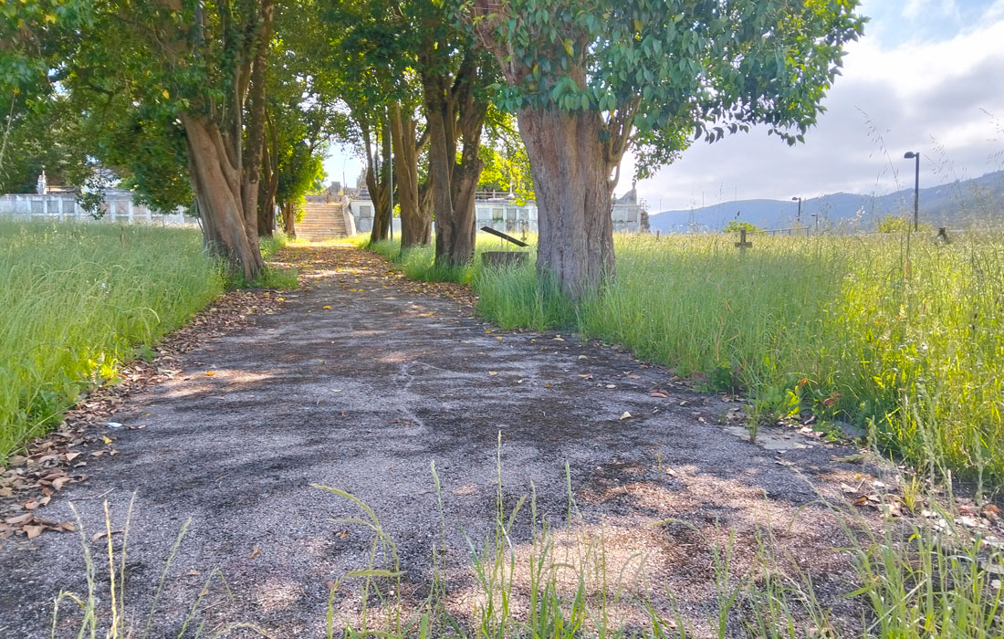 PSOE-MONDOÑEDO-RECLAMA-LIMPEZA-CEMENTERIO-VELLO-8-6-2026