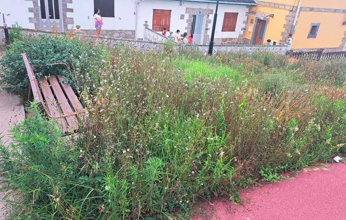 ABANDONO-DA-ATALAIA-EN-CELEIRO-2026