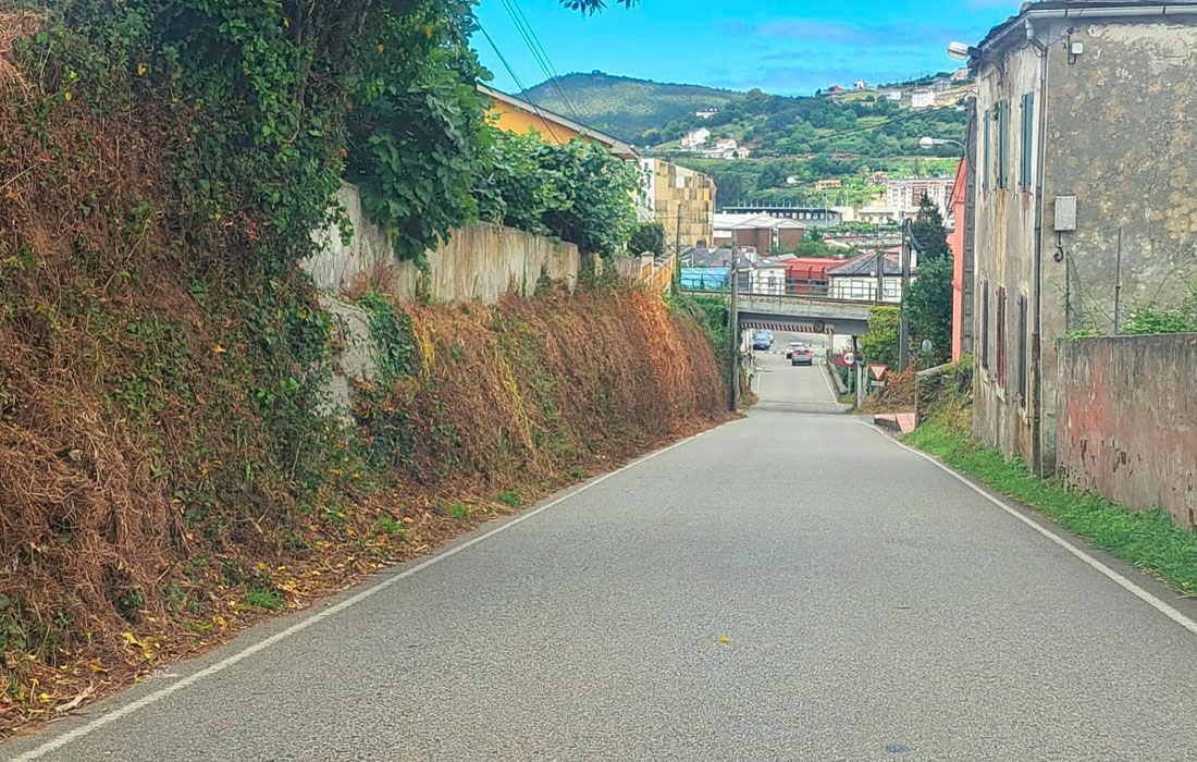 estrada-desbrozada-Deputacion-viveiro-2026