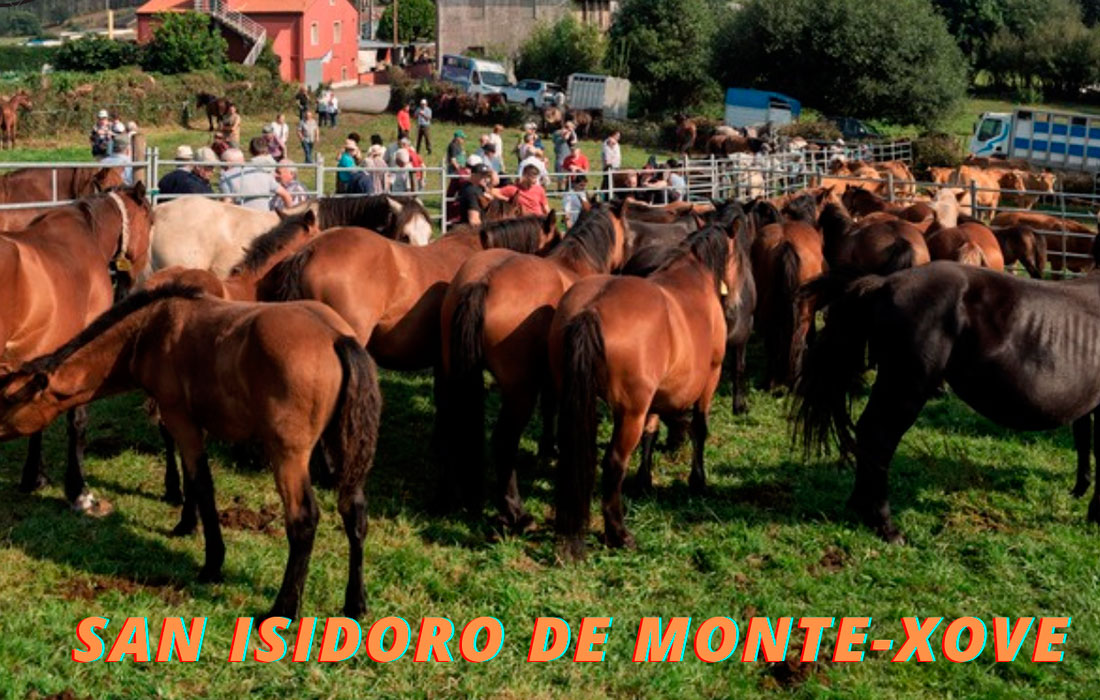 FEIRA-DO-SAN-BARTOLO-2025