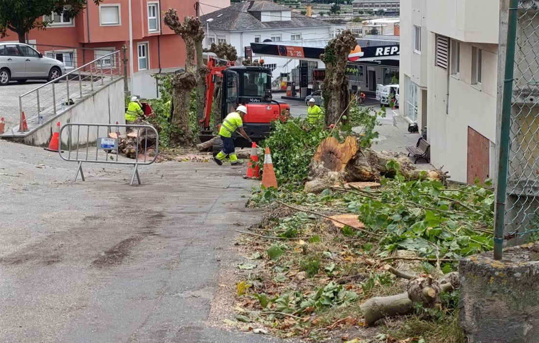 viveiro-tala-arbores-2026