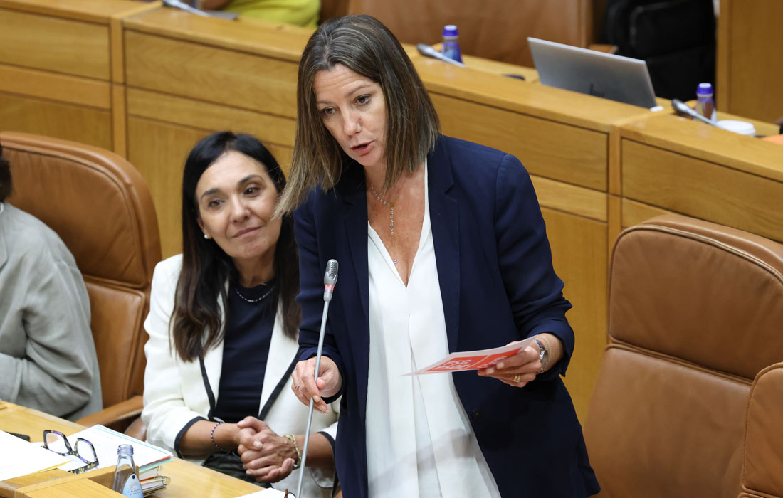 Lara-Mendez_Pregunta-Pleno-2026