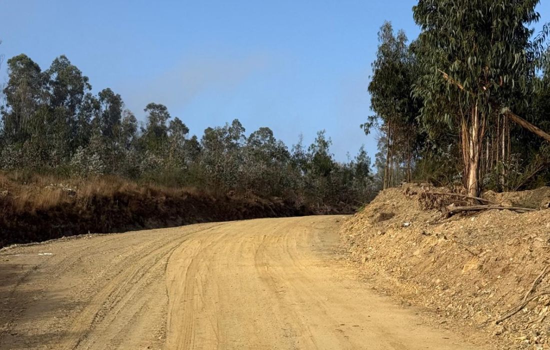 limpeza-camiños-ribadeo