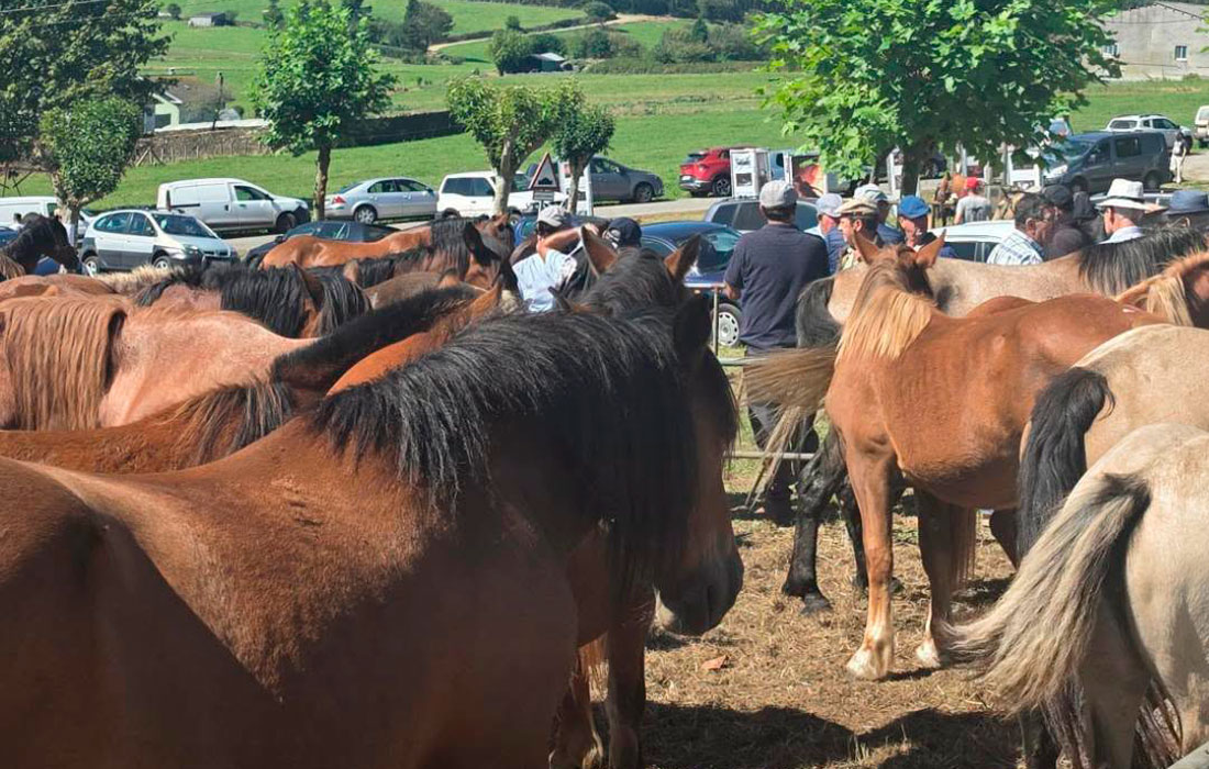 riotorto-feira-de-gando-cabalar-2026