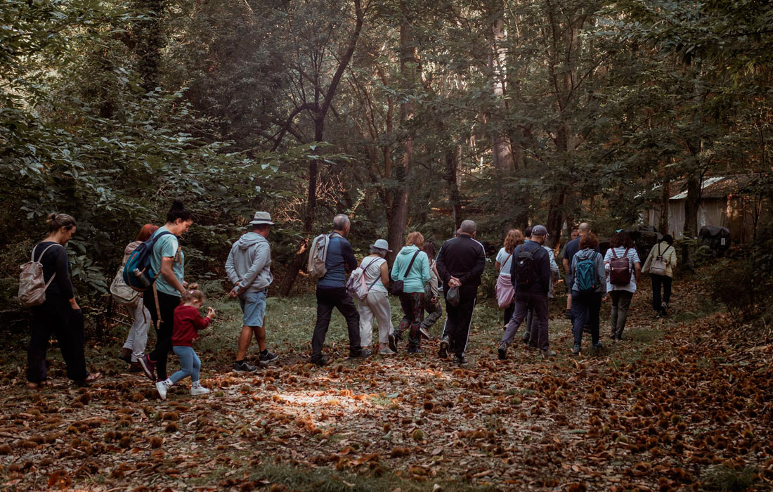 ruta-sendeirismo-visita-Ribadeo