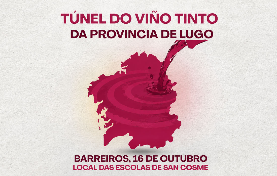 Cartel-de-cata-de-vinos-de-Lugo-en-Barreiros