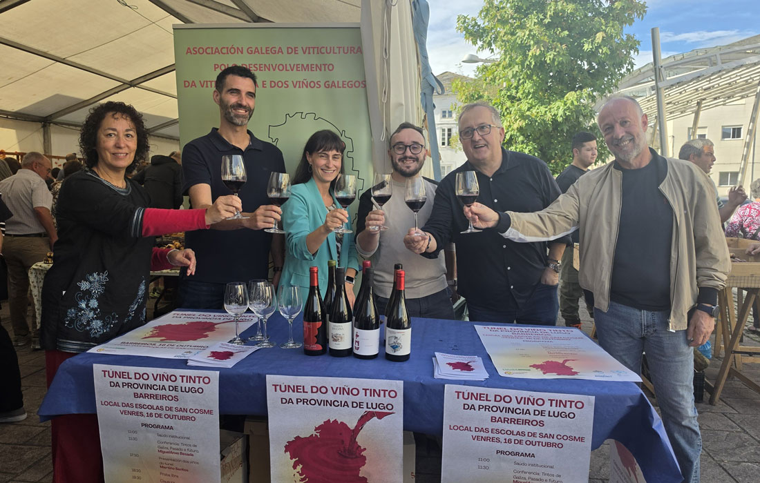 túnel-do-viño-tinto-Barreiros