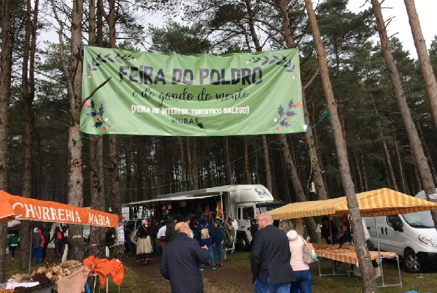 Feira Poldro_1