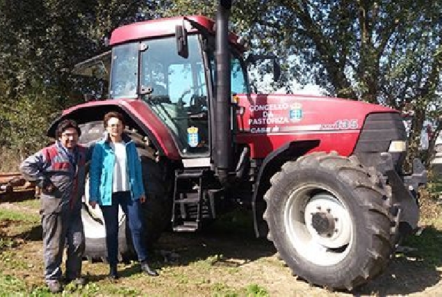 elvacarrera tractor