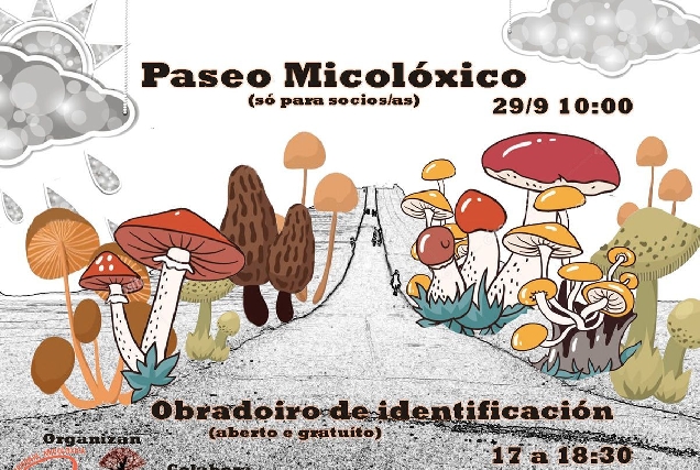 Paseo_micoloxic_2019_web