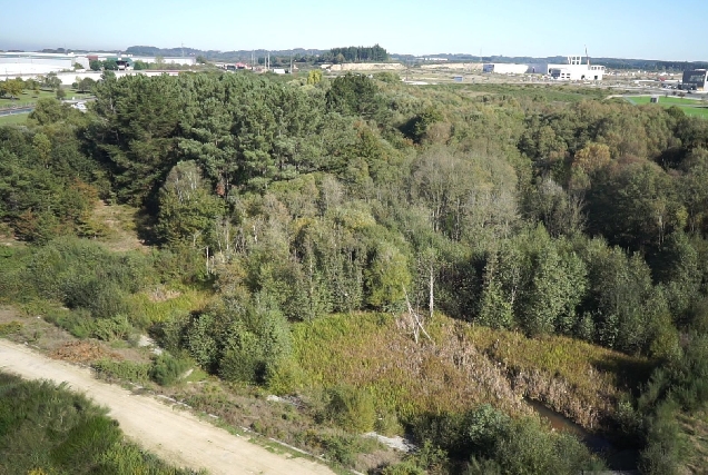 lugo humidal as gándaras