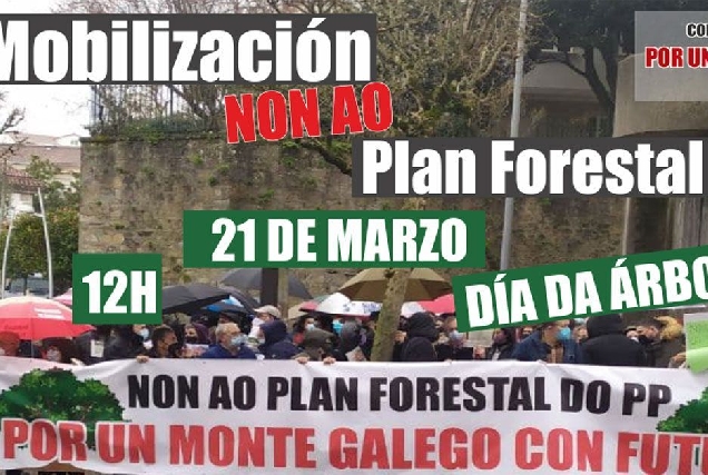 mobilizacion plan forestal xunta