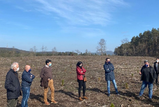 visita carballo friol pp lobo