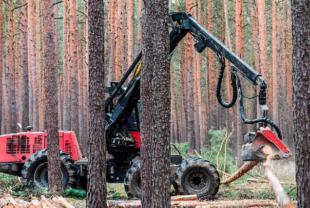 forestal maquina