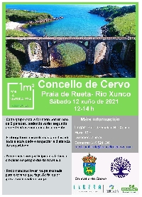 cervo por la naturaleza