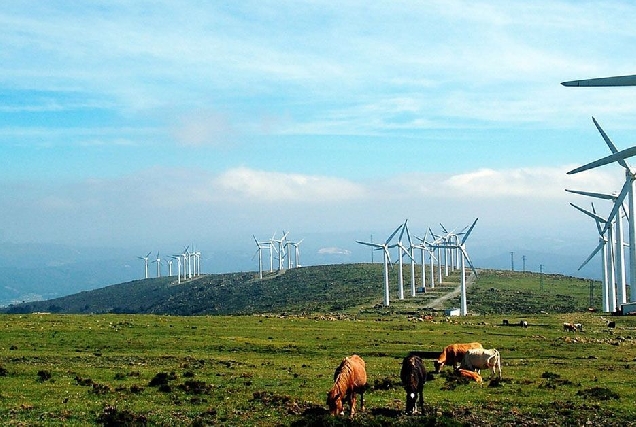 muras parque eolico