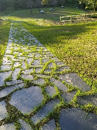 paseo pontenova eo turia