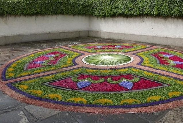 alfomvbra floral sarria