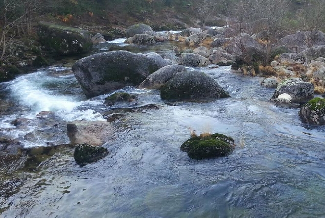 rio neira baleira