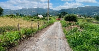 viveiro plan de mellora caminos parcelas agricolas