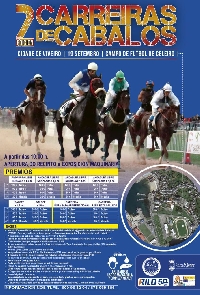 CARTEL CARREIRAS CABALOS VIVEIRO