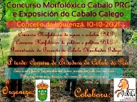 concurso morfoloxico cabalo loureza