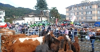 San-Lucas-Mondonedo-2021-(1)