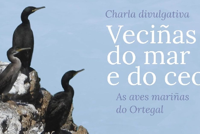 curso_ovicedo aves