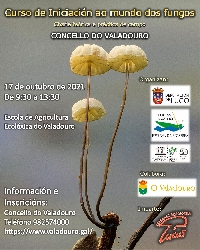 fungos valadouro