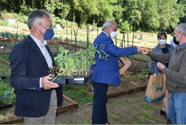 entrega hortos rio rato