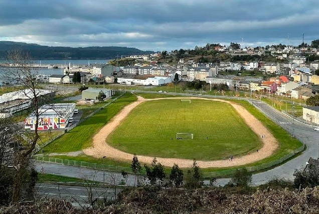 Viveiro campo lavandeiras