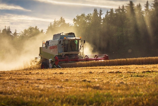 agricultura-campo-cultivo-agricultor-colleita-sega