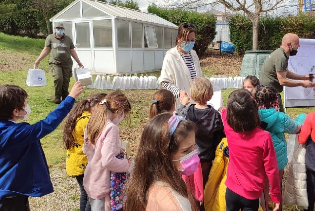 SAN CIBRAO CEIP DIA DA ARBORES CERVO