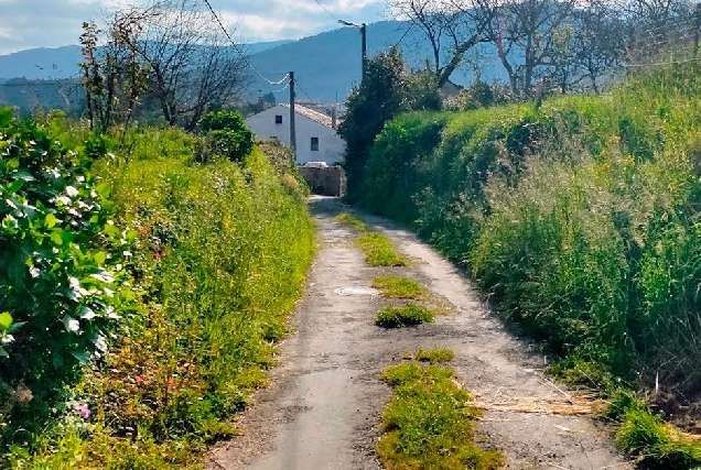 Viveiro Magazos estrada