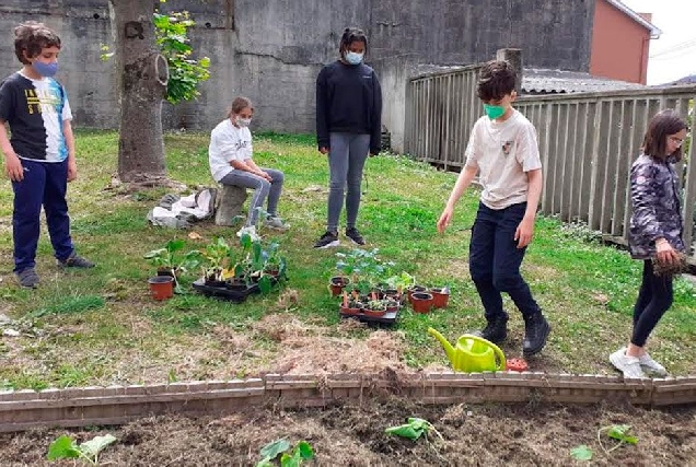 Burela Ceip Virxe do Carme planta un pequeno horto 1