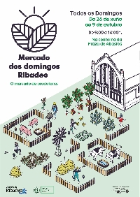 mercado dos domingos Ribadeo xuno 2022