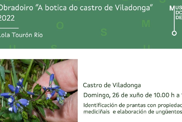 obradoiro plantas medicinais castro viladonga portada